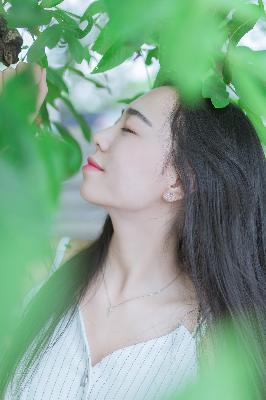 平凡的世界电视剧免费观看