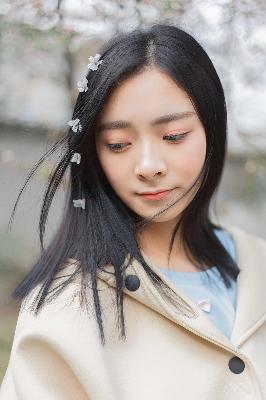 国产免费观看高清电视剧大全