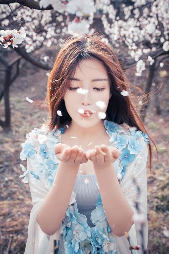 成全在线观看免费观看全集