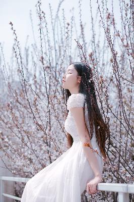 谁是凶手电视剧完整版免费观看