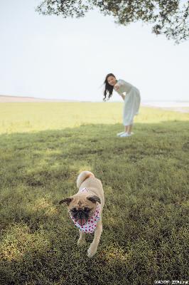 大明王朝1566 电视剧全集免费观看