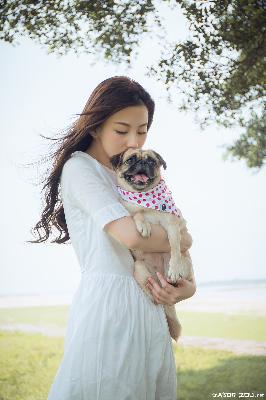 办公室3在线观看免费版电视剧大全