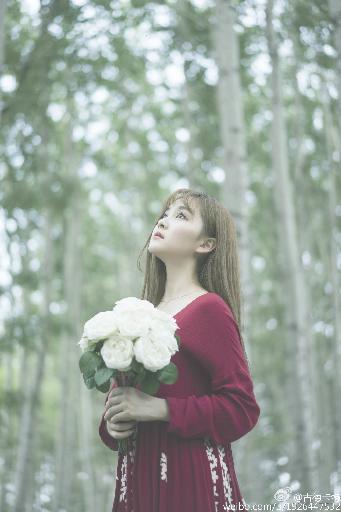 九阳武神动漫在线观看全集