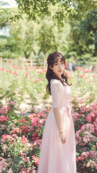 惜花芷电视剧免费观看完整版